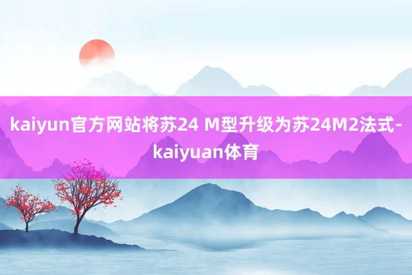 kaiyun官方网站将苏24 M型升级为苏24M2法式-kaiyuan体育