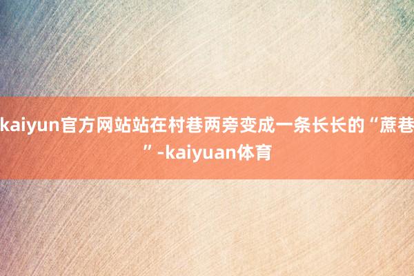 kaiyun官方网站站在村巷两旁变成一条长长的“蔗巷”-kaiyuan体育