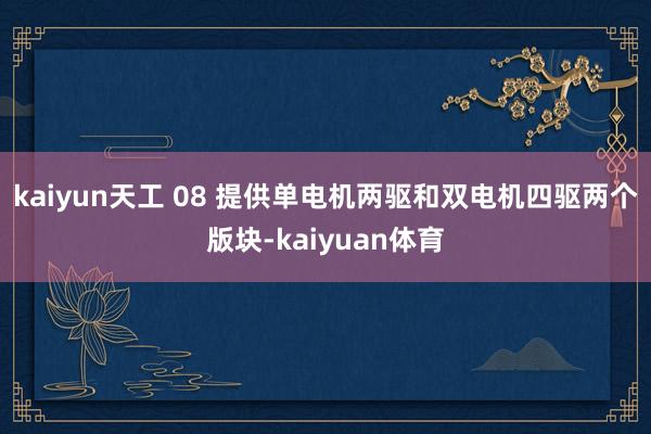 kaiyun天工 08 提供单电机两驱和双电机四驱两个版块-kaiyuan体育